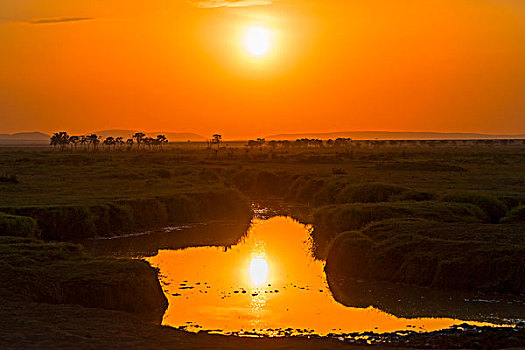 日出,反射,湖,马赛马拉国家保护区,肯尼亚,非洲