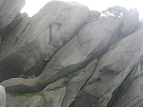 黄山上的大鱼石头,你看出来了吗