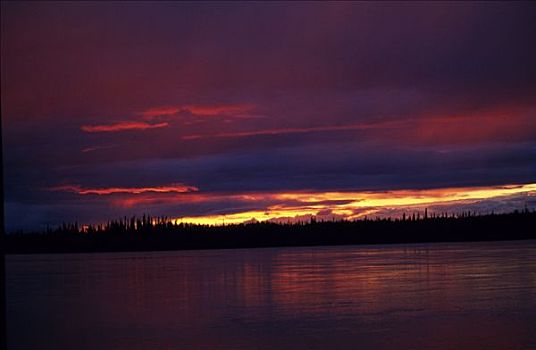 日落,上方,育空河,阿拉斯加,美国