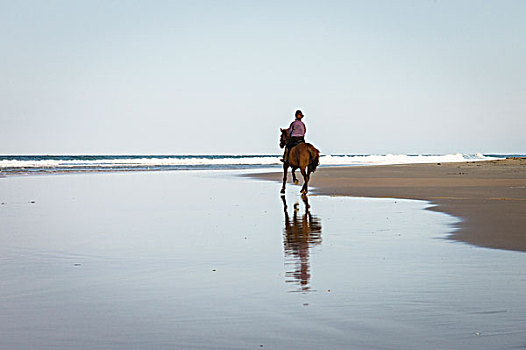 孤单,女骑手,海滩