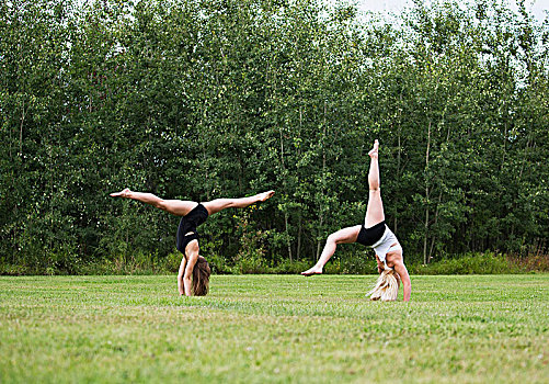 两个,青少年,体操运动员,练习,户外,公园,埃德蒙顿,艾伯塔省,加拿大