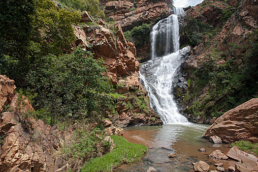 瀑布,沃尔特,国家,植物园,约翰内斯堡,南非,非洲