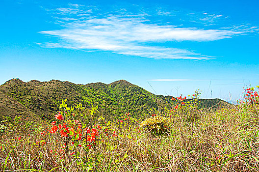 山岭风光