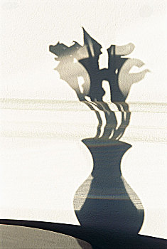 影子,水芋属,花瓶