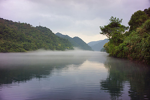 小河晨雾