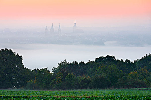 日出,晨雾,山谷,大教堂,后面,萨克森安哈尔特,德国,欧洲