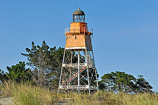 灯塔,告别,自然,自然保护区,金海湾,南岛,新西兰