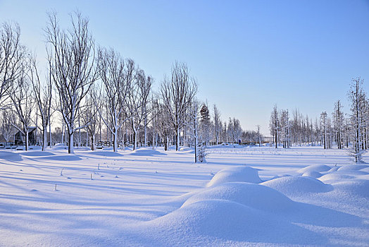 雪景