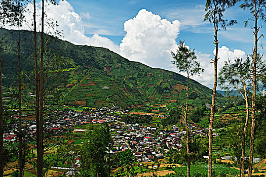 乡村,爪哇,印度尼西亚
