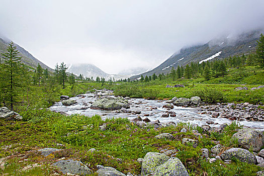 风景,低云,河谷,山,俄罗斯