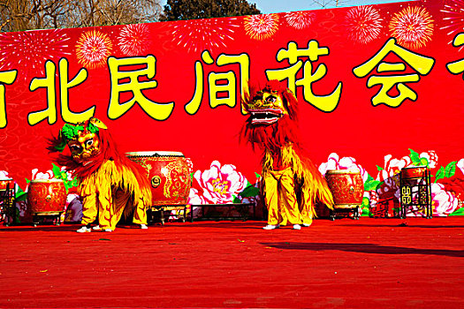 北京地坛庙会上的杂技表演舞狮