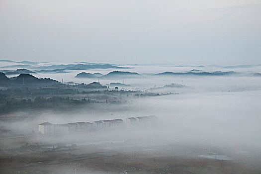 晨雾,风景如画