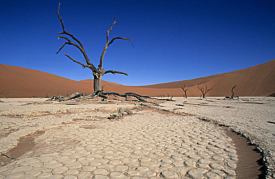 死亡谷,索苏维来地区,纳米比诺克陆夫国家公园,纳米布沙漠,纳米比亚,非洲