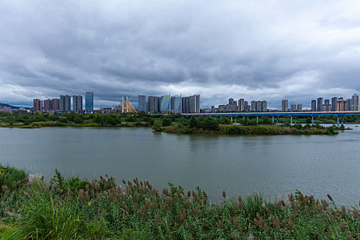 嘉陵江湿地