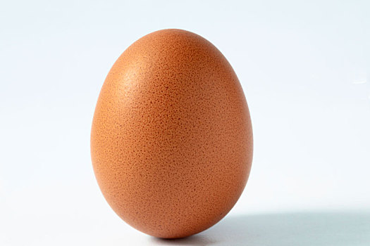 单独一颗鸡蛋,在白色背景