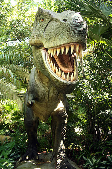 恐龙图片_恐龙高清图片_全景视觉