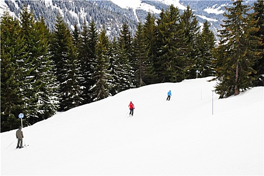 滑雪,山,区域