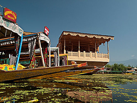 船屋,湖,流行,游客,斯利那加,查谟-克什米尔邦,印度,亚洲