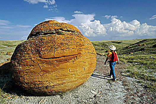 砂岩,红岩,自然,区域,艾伯塔省,加拿大