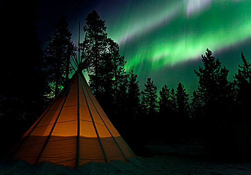 光亮,圆锥形帐篷,北极光,极光,绿色,粉色,紫色,靠近,育空地区,加拿大