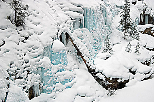 雪景,班芙国家公园,艾伯塔省,加拿大