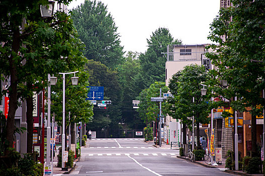 日本东京,新宿的街道巷弄