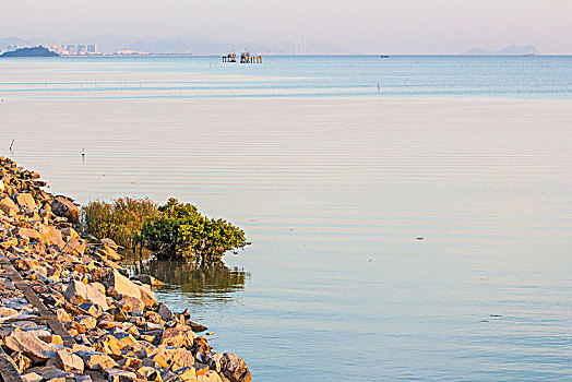 江门银湖湾湿地风光