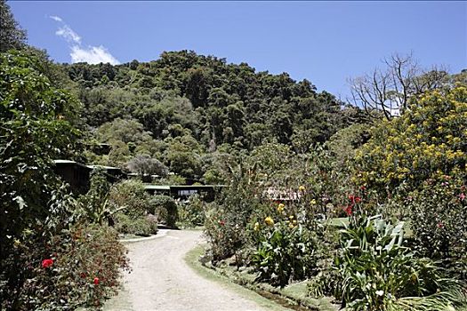 住宿,国家公园,哥斯达黎加