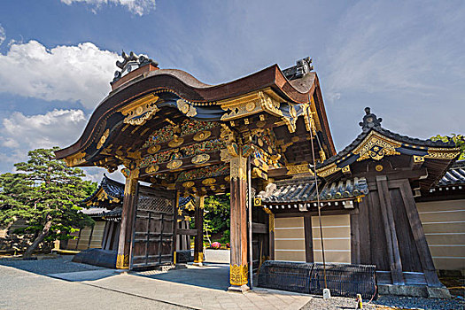 日本,京都,二条城,宫殿,唐门