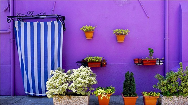 布拉诺岛,紫色,墙壁,彩色,房子