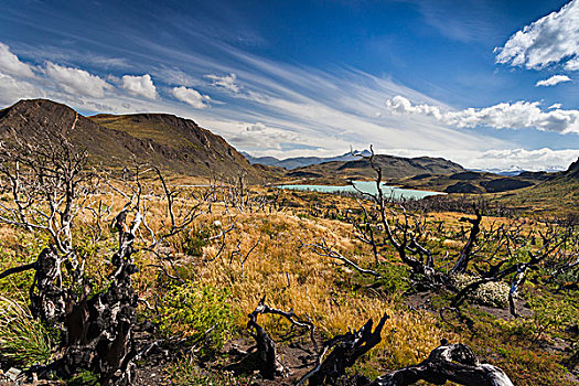 智利,麦哲伦省,区域,托雷德裴恩国家公园,拉哥裴赫湖,损坏,风景