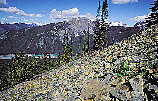 化石,世界遗产,幽鹤国家公园,不列颠哥伦比亚省,加拿大