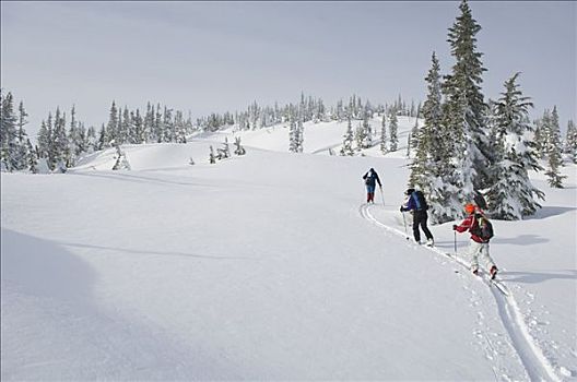 人,滑雪道,顶峰,海岸山脉,不列颠哥伦比亚省,加拿大