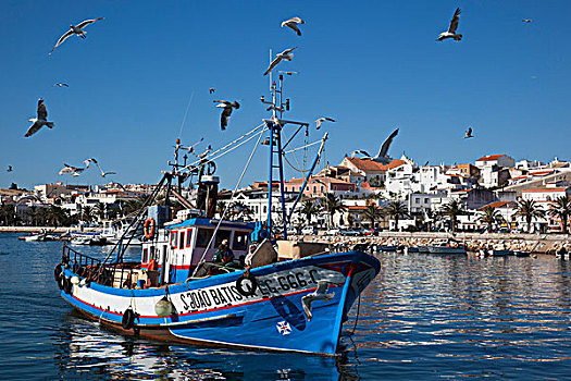 渔船,捕鱼,港口,拉各斯,阿尔加维,葡萄牙,欧洲