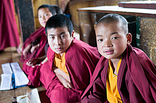 和尚,学习,庙宇,地区,不丹
