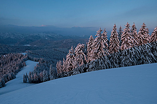 清晨,冬天,巴特特尔茨,巴伐利亚阿尔卑斯山,巴伐利亚,德国