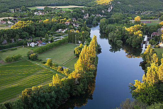风景,河,比利牛斯,法国