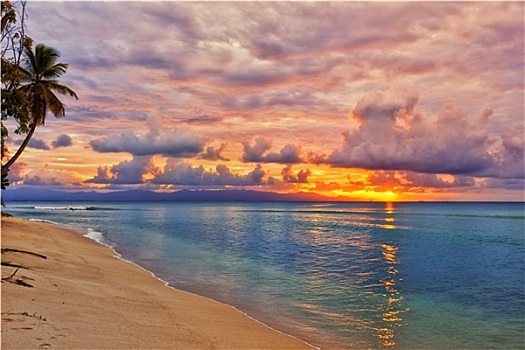 加勒比,海滩,日落