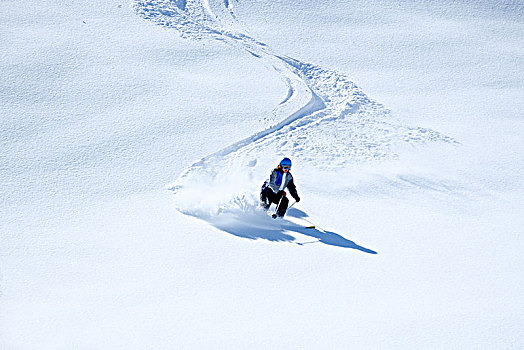 孤单,滑雪,深,粉状雪,自由滑行者,提洛尔,奥地利,欧洲