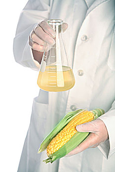 人,实验室,外套,玉米,广口容器,液体