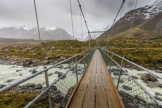 桥,上方,河,奥拉基国家公园,新西兰