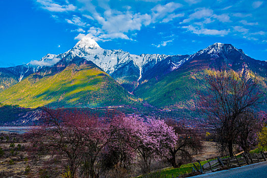 汽车风景