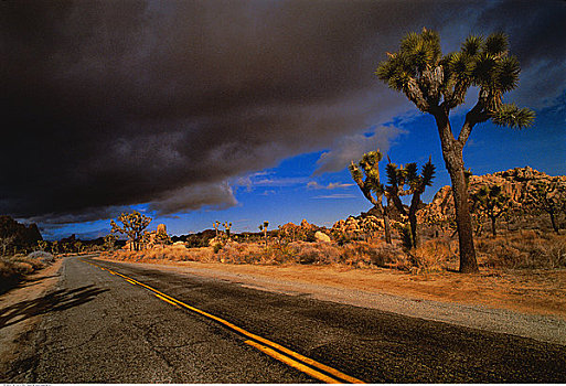 乌云,上方,沙漠,公路,莫哈维沙漠,加利福尼亚,美国
