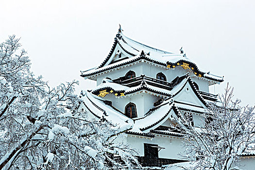 城堡,雪