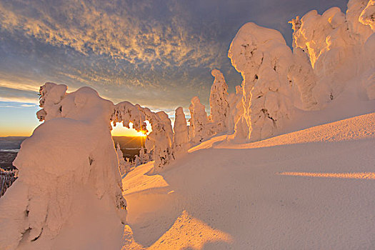 雪,灵异,白鲑,山脉,靠近,蒙大拿,美国
