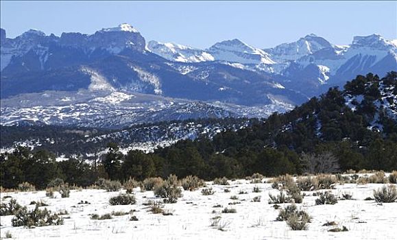 积雪,风景,山脉,背景,犹他,美国