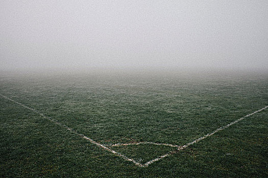 角,足球场,雾状,白天,只有,白线,读,英格兰,英国