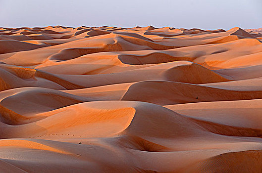 沙丘,瓦希伯沙漠,沙漠,沙尔基亚区,沙,晨光,灰尘,阿曼,亚洲