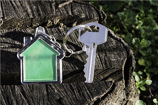 钥匙链,形状,房子