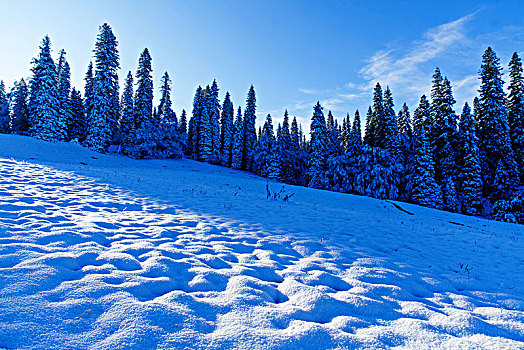 那拉提牧场雪景